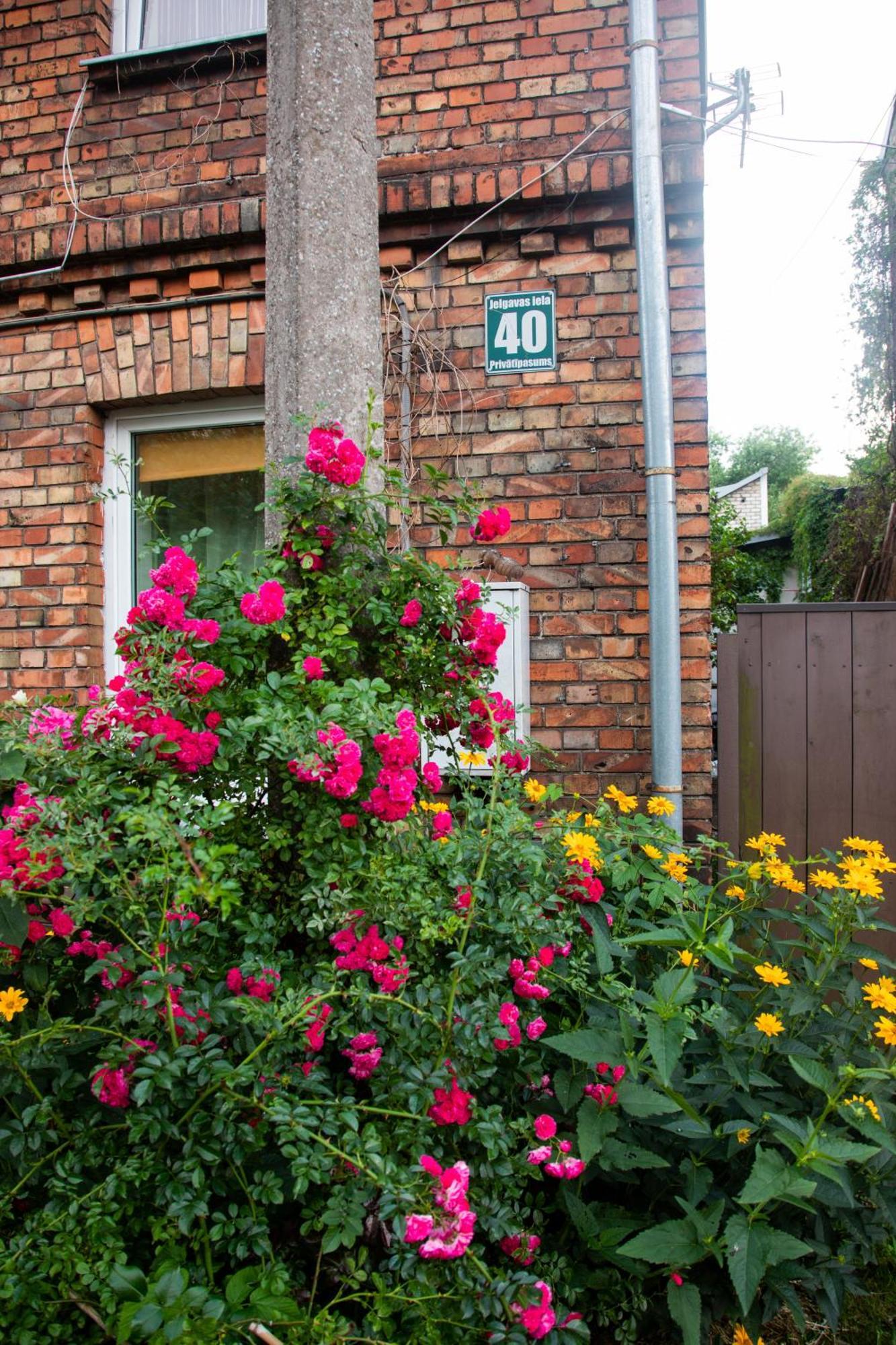 Medainie Apartamenti Liepaja Exterior photo